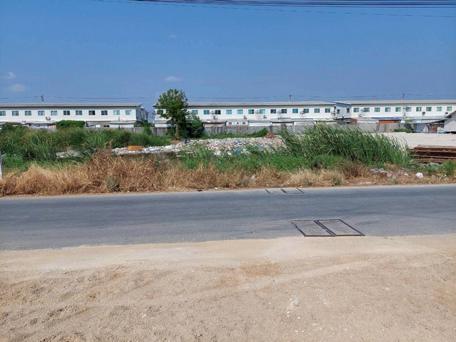 ขายที่ดิน 1 ไร่ บางโฉลง บางพลี สมุทรปราการ ผังสีเหลือง เหมาะสร้างบ้าน ที่อยู่อาศัย ทาวน์โฮม ทาวน์เฮ้าส์ หรือออฟฟิศ