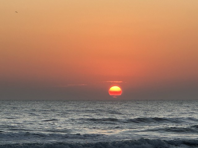 ผืนดินไทยทรงคุณค่า  ที่ติดทะเล ฝั่งแดง ขายราคาไร่ล่ะ 3 ล้านบาท โฉนดครุฑแดง พร้อมโอน