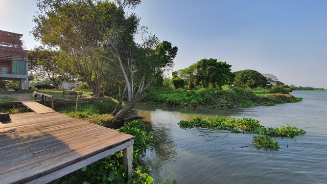 ให้เช่าที่ดินพร้อมบ้าน 1หลัง  เนื้อที่ 300ตร.วา ริมแม่น้ำน้อย อำเภอบางไทร อยุธยา