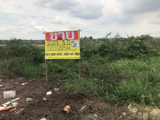 ขายที่ดิน 5ไร่ ติดถนนเส้นคุ้งลานไป ใกล้สายเอเชียขาเข้ากรุงเทพ  บางปะอิน อยุธยา