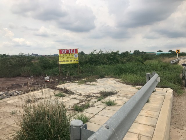 ขายที่ดิน 5ไร่ ติดถนนเส้นคุ้งลานไป ใกล้สายเอเชียขาเข้ากรุงเทพ  บางปะอิน อยุธยา