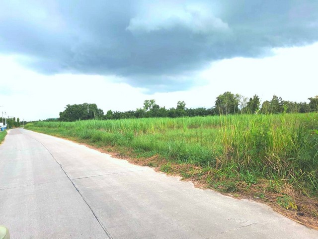 ขายที่ดินสวยราคาถูกหนองบอนแดง บนเนื้อที่ดิน 25-0-51 ไร่  (พร้อมโอน)อยู่ในโซนอุตสาหกรรมหนองบอนแดง