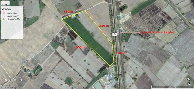 ขายที่ดินเปล่าทำเลทอง ติดถนนทางหลวง ต. บึงนาราง  อ.บึงนาราง  จ.พิจิตร