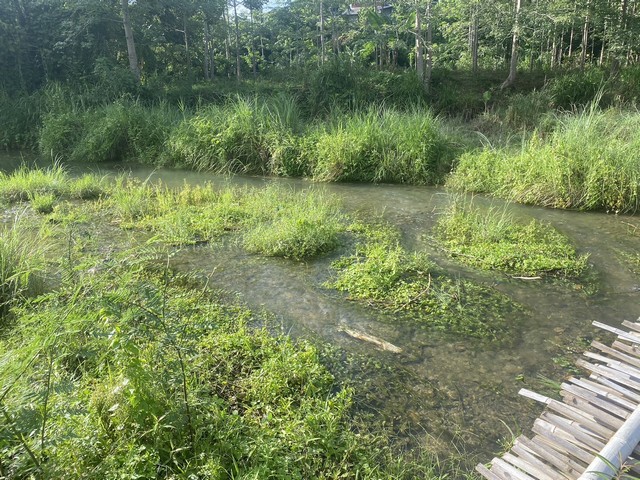 ผืนดินไทยทรงคุณค่า  ขายที่ดินติดลำธารน้ำใสไหลริน ชุ่มฉ่ำตลอดปี สวยวิวล้าน 800000บาท 3-0-35ไร่ อำเภอสันติสุข น่าน