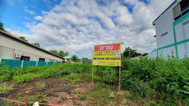 ขายที่ดินแปลงสวย 277 วา  ติดถนนสารคุณ กลางเมืองชุมแพ  ขอนแก่น  ZE289