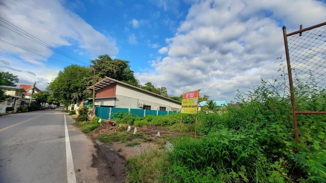 ขายที่ดินแปลงสวย 277 วา  ติดถนนสารคุณ กลางเมืองชุมแพ  ขอนแก่น  ZE289