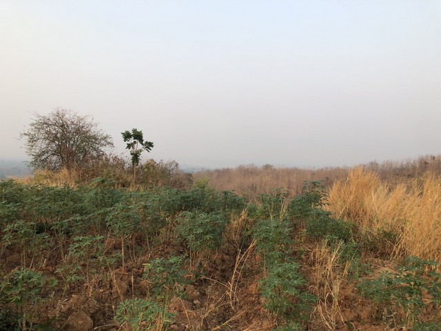 ผืนดินไทยทรงคุณค่า ด้วยทรัพย์ดีทวีมูลค่า ธรรมชาติเนินเขา ที่ดินโฉนดแบ่งขาย หล่มเก่า เพชรบูรณ์ ใกล้ภูทับเบิก โทร 0968821857