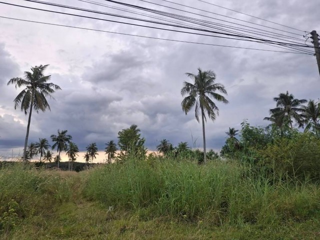 ขายที่ดินเขาคันทรง บ่อวิน ศรีราชา ห่างจากท่าเรือแหลมฉบัง 30 กม. FP-L0738