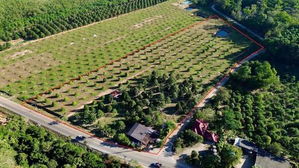  ขายที่ดินพร้อมสวนทุเรียน ติดถนนทางหลวงชนบทจันทบุรี 1028 ใกล้แหล่งชุมชน ต.วังใหม่ อ.นายายอาม จ.จันทบุรี