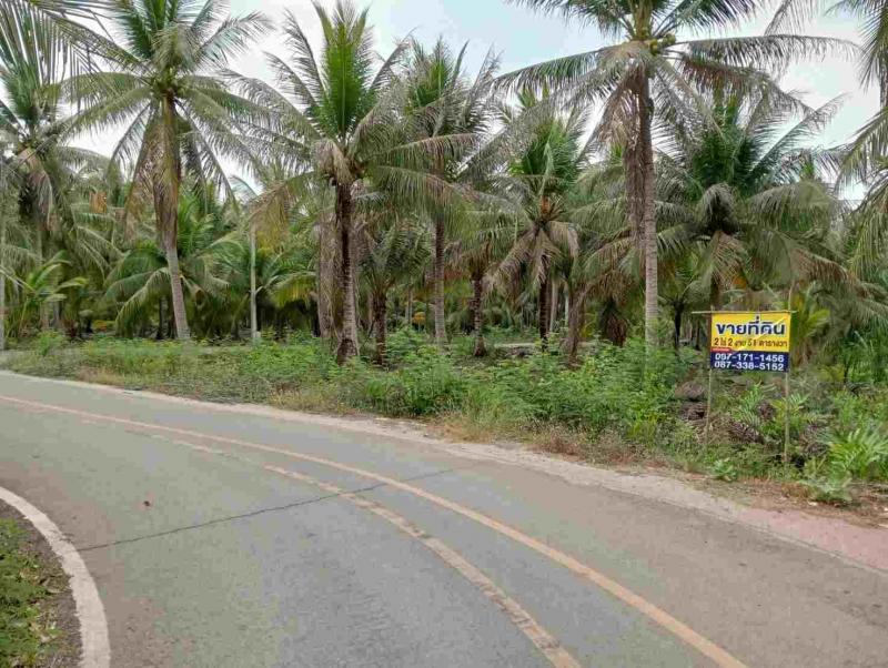 ขายที่ดินทำเลทอง 2 ไร่ 2 งาน 61 ตารางวา ตำบลท่าคา อ.อัมพวา  จ.สมุทรสงคราม