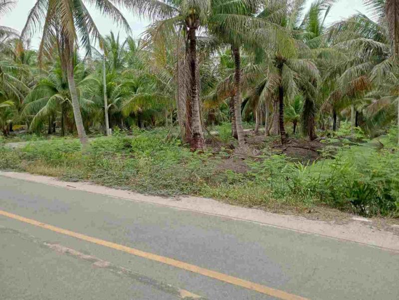 ขายที่ดินทำเลทอง 2 ไร่ 2 งาน 61 ตารางวา ตำบลท่าคา อ.อัมพวา  จ.สมุทรสงคราม