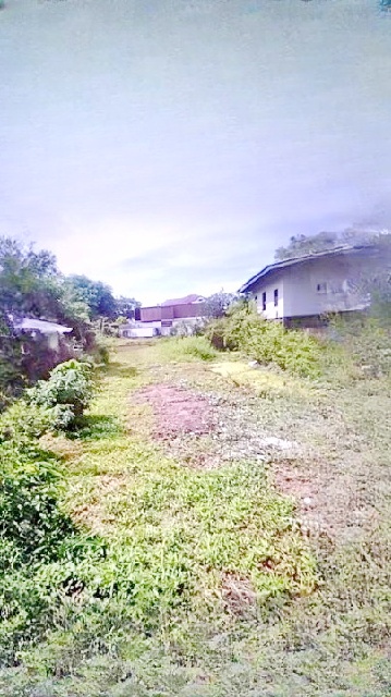 ถ.เจริญพัฒนา MRT เศรษฐบุตรบำเพ็ญ 1.6 กม.กลีบหมู พระยาสุเรนทร์ รามอินทรา MRTบางชัน 1.6 กม. ขาย-เช่าที่ดิน พร้อมบ้านไม้ 200 ตร.วา.840 ตร.ม.