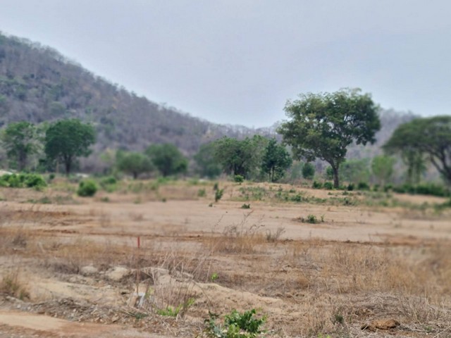 ผืนดินไทยทรงคุณค่า ที่ดินติดภูเขา ต.พระนอน อ.เมือง จ.นครสวรรค์ วิวสวยมากๆๆ 5ไร่เศษ โทร 096-882-1857
