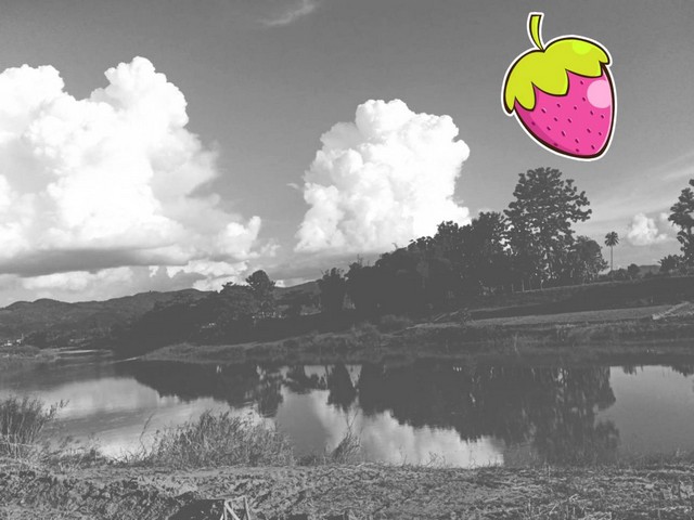 ผืนดินไทยทรงคุณค่า   ที่สวยติดแม่น้ำน่าน น้ำใสไหลรินตลอดปี  ต.ศรีภูมิ อ.ท่าวังผา จ.น่าน ขาย 800000  วิวดีสวยมาก 0968821857