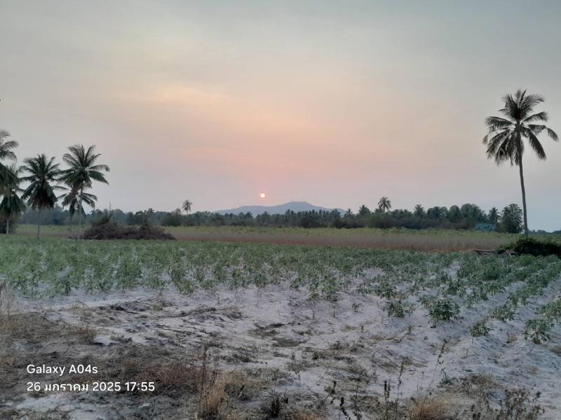 ขายที่ดินเปล่า ทำเลทอง บางพระ  อำเภอศรีราชา จังหวัดชลบุรี