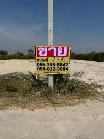 ขายที่ดินเปล่า 100 ตารางวา  ซอยมาบโป่ง14  โป่งตามุข  พานทอง ชลบุรี