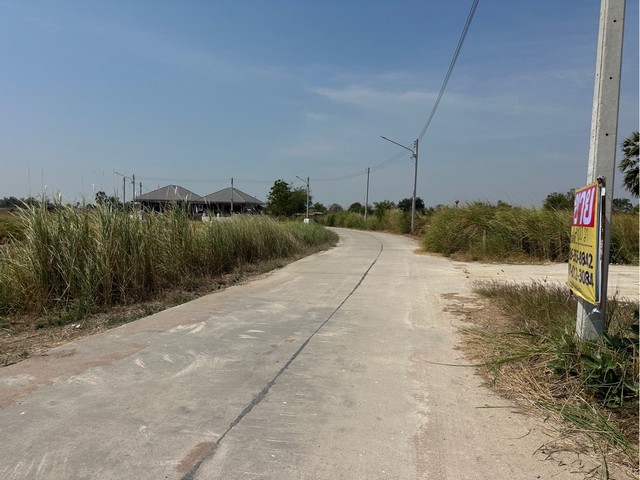 ขายที่ดินเปล่า 100 ตารางวา  ซอยมาบโป่ง14  โป่งตามุข  พานทอง ชลบุรี