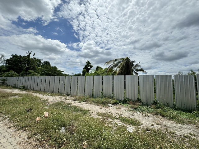 ขายที่ดินติดถนน​พุทธมณฑล ซื้อที่แถมปอด...ทำเลดี  ต.ศาลายา อ.พุทธมณฑล จ.นครปฐม