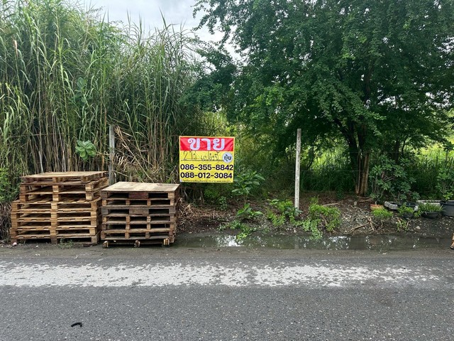 ขายที่ดินเปล่า 2 ไร่  ซอยร่มเกล้า 25  คลองสามประเวศ  ลาดกระบัง กรุงเทพ