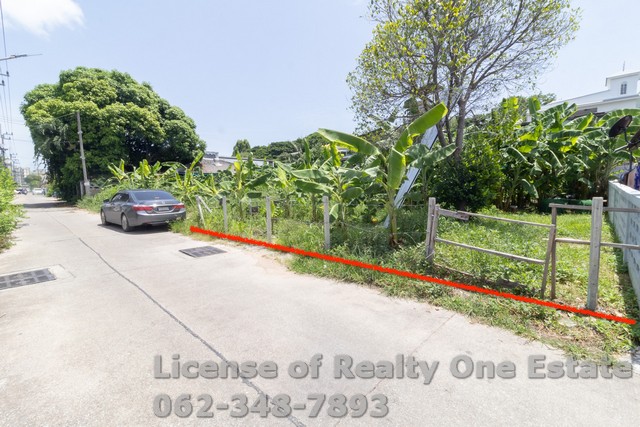 ขายที่ดิน แปลงสวย ทำเลทองใจกลางพัทยาใต้ ซอย 8 หนองปรือ บางละมุง ชลบุรี