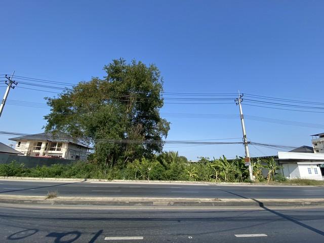 ขายที่ดิน 399.7 ตรว. ย่านศาลายา พุทธมณฑล ติดถนน 4 เลน ใกล้ ร.ร.พระตำหนัก สวนกุหลาบ