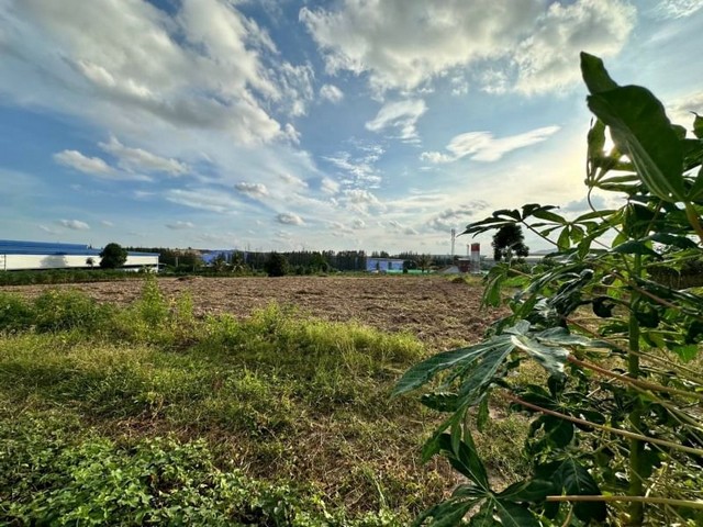 ขายที่ดินโซนบ่อวิน ศรีราชา ใกล้โซนนิคมWHA1 แปลงสวย ทำเลดี FP-L0750 