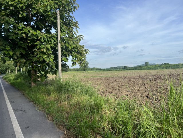 [ขาย] ที่ดินเปล่า แบ่งขาย 1-5 ไร่ | ถนนปากน้ำ-ดงมะเกลือ สระบุรี | ติดถนน มีไฟฟ้า น้ำประปา | 600,000 บาท/ไร่