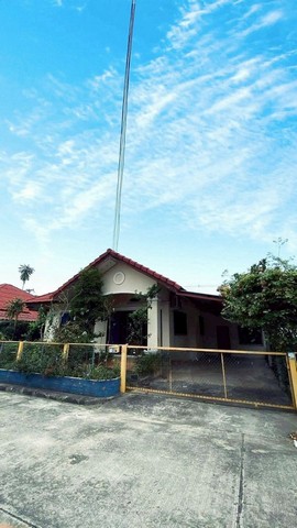 บ้านชั้นเดียวราคาถูก สภาพดี ร่มรื่น สันผักหวาน หางดง             