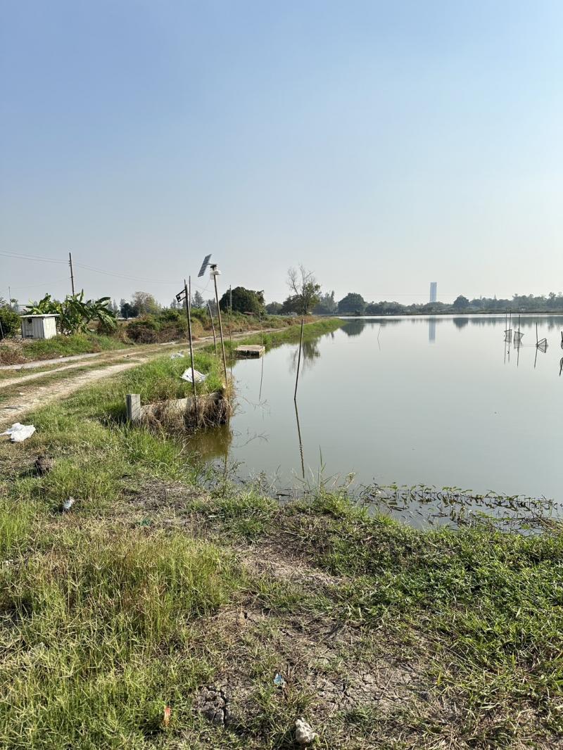 ขายที่ดินแปลงใหญ่ ทำเลทอง ใกล้ ABAC บางนา            