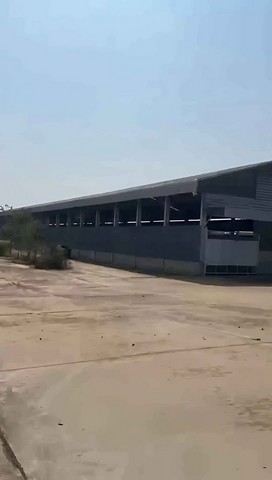 ให้เช่าโรงงาน/คลังสินค้า ที่ดินขนาด 20-2-50 ไร่พื้นที่ใช้สอยประมาณ10,078 ตร.ม ม่วงลาย ขอใบอนุญาตรง .4 ได้ นิคมพัฒนา  ระยอง