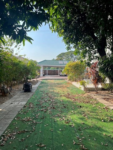 ขายบ้านเดี่ยว 2 ชั้น หมู่บ้านลัดดารมย์ เมืองนนทบุรี 243 ตร.ว. ติด MRT ไทรม้า แต่งสวยพร้อมอยู่