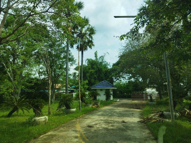 ขายที่ดินเปล่า เนื้อที่ 6-3-37.8 ไร่ หัวทะเล เมืองนครราชสีมา