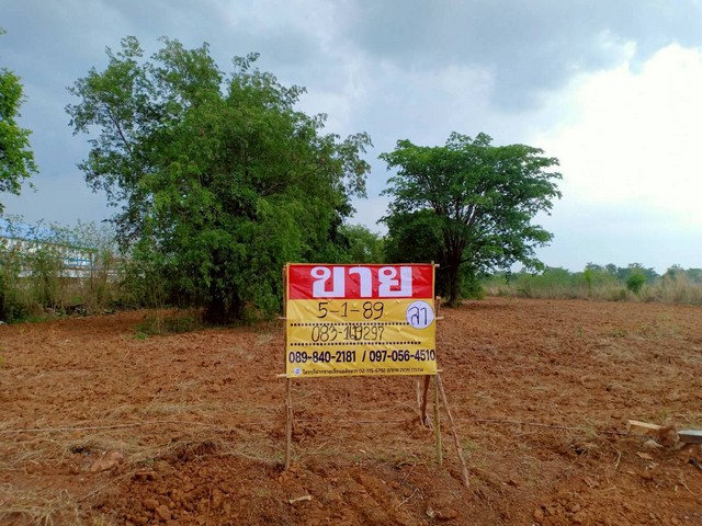 ขายที่ดินราคาถูก 5-1-89 ไร่  ติดถนนสายหลัก ขอนแก่น - ชุมแพ   บ้านทุ่ม   เมืองขอนแก่น