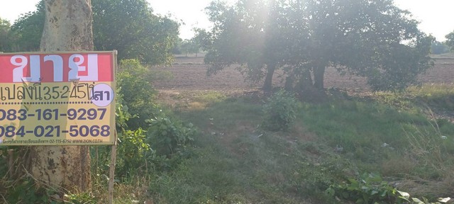 ขายที่ดินราคาถูก ติดถนนสายหลัก  35-2-45 ไร่  บ้านคลองช้าง  พรหมพิราม  พิษณุโลก