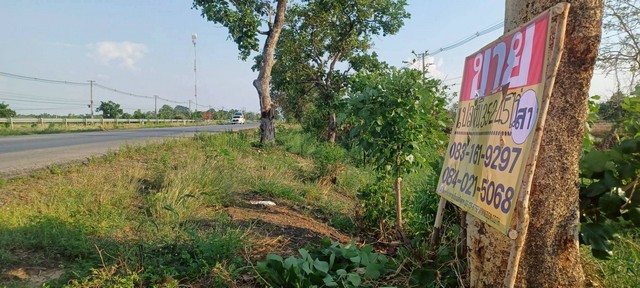 ขายที่ดินราคาถูก ติดถนนสายหลัก  35-2-45 ไร่  บ้านคลองช้าง  พรหมพิราม  พิษณุโลก