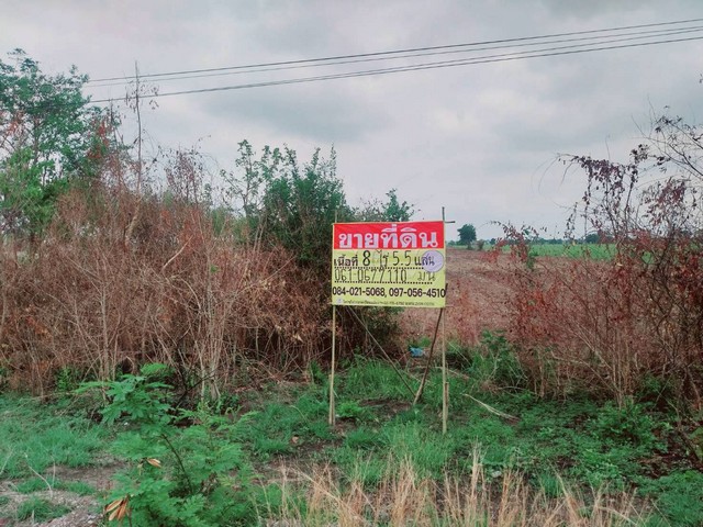 ขายที่ดิน 8 ไร่ ทำเลดี ราคาถูก   พระนอน  เมืองนครสวรรค์  ZK406