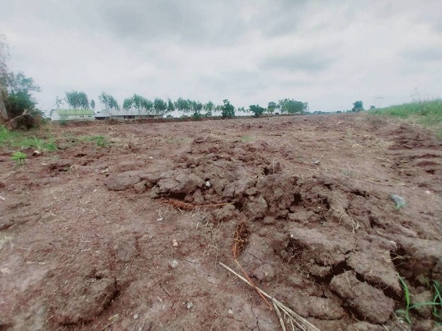 ขายที่ดิน 8 ไร่ ทำเลดี ราคาถูก   พระนอน  เมืองนครสวรรค์  ZK406