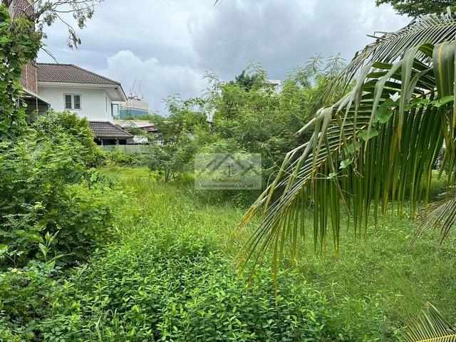 ขายที่ดิน 115 ตรว. ย่านเอกมมัย สุขุมวิท 65 ( ซอยปรีดีพนมยงค์ 15 ) ที่ดินปรับแล้ว