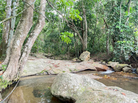 ที่ดิน 3 ไร่ วิวธรรมชาติ น้ำตกไหลผ่าน เหมาะทำรีทรีตและธุรกิจแนว Eco ให้เช่าที่ดินสมุย ต.ลิปะน้อย อ.เกาะสมุย สุราษฎร์