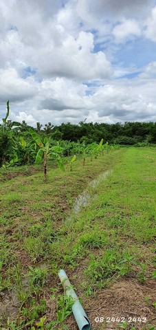 ขายที่ดินติดแม่น้ำ 5 ไร่ วิวสวย อากาศดี อ.โพธิ์ทอง จ.อ่างทอง