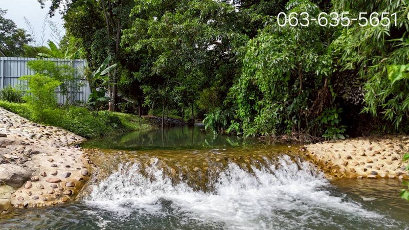 ขายบ้านสวน 2 หลัง ที่ดินติดลำธาร พร้อมที่งอกรวมเกือบไร่ ต.สาริกา อ.เมืองนครนายก มีต้นยางนาร้อยปี ไม่เปลี่ยว อยู่เองก็ได้ทำธุรกิจก็ดี