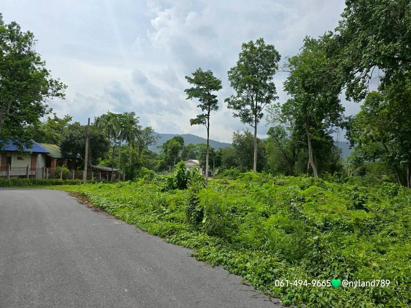 มาแล้วที่เนินแปลงเล็กที่รอคอย 169 ตรว. ต.สาริกา อ.เมืองนครนายก โฉนดครุฑแดงพร้อมโอน มีเพียง 2 แปลงเท่านั้น