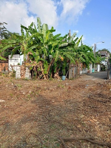 ขายที่ดินถมแล้ว 254 ตร.ว สุขุมวิท66/1 ใกล้ BTS อุดมสุข ใกล้ทางด่วน เหมาะแก่การสร้างบ้าน ที่พักอาศัย หรือซื้อเก็งกำไร