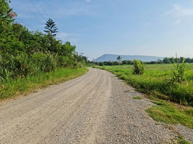 ผืนดินไทยทรงคุณค่า ขายที่ดินปากช่อง 2ไร่- 8ไร่ โฉนด ต.วังไทร อ.ปากช่อง จ.นครราชสีมา ไร่ละ  2.9 ลบ.สูงจากระดับน้ำทะเลมา น้ำไฟพร้อม