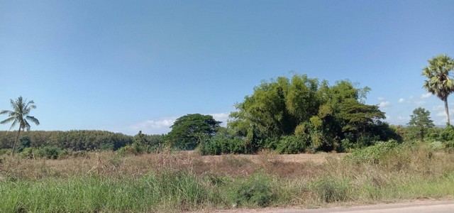 ผืนดินไทยทรงคุณค่า ที่ติดแม่น้ำโขง ต.กุดบง อ.โพนพิสัย จ.หนองคาย  หลังติดแม่น้ำโขง ไร่ละ 2ล้านบาท โทร 096-882-1857