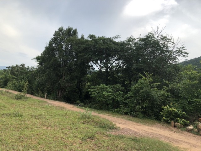 ผืนดินไทยทรงคุณค่า  ขายที่ดินสวยติดภูเขา เทือกเขายาวเรียงแนว ดินดีสมบูรณ์ทรัพย์ในดิน ฟ้าใสวิวหลักล้าน ต.นาจาน อ.สีชมพู จ.ขอนแก่น 