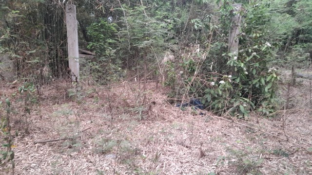 ผืนดินไทยทรงคุณค่า  ขายที่สวยติดแม่น้ำน่าน ชุมแสง  จ.นครสวรรค์ 300000 บาท.วิวแม่น้ำเกษตรดีงามสวยสมบูรณ์