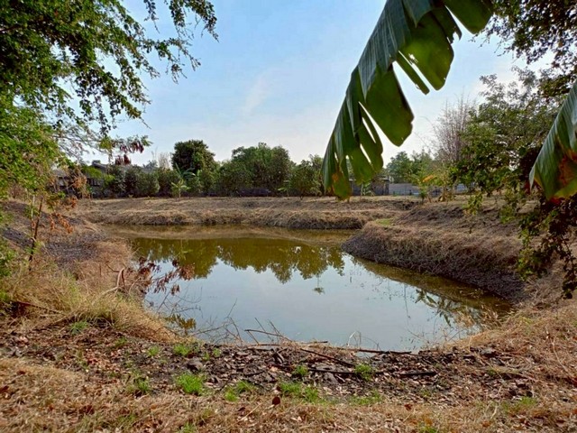 ขายที่ดิน เนื้อที่รวม 15-0-12.6 ไร่ ตำบลโคกสลุง อำเภอพัฒนานิคม จังหวัดลพบุรี