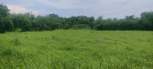 ที่ดินเปล่า ต.บ้านใหม่ อ.เมือง จ.นครราชสีมา เนื้อที่ 10ไร่ 3งาน 44ตรว.