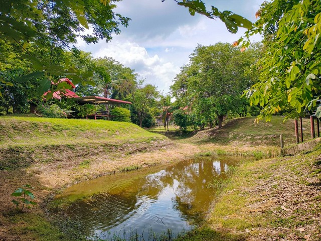 ขายที่ดินทำเลทองพร้อมสิ่งปลูกสร้าง บนเนื้อที่ 18 ไร่ 2 งาน 19 ตารางวา พิษณุโลก